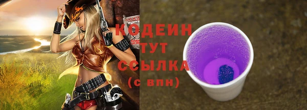 МДПВ Богородск
