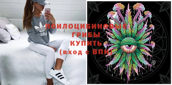 МДПВ Богородск