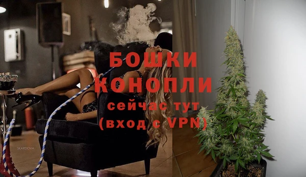 МДПВ Богородск