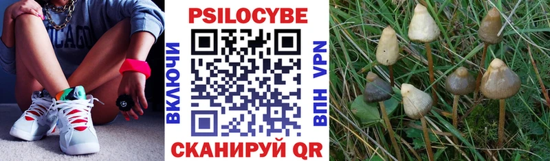 Галлюциногенные грибы мухоморы  Купить где  Кизляр 